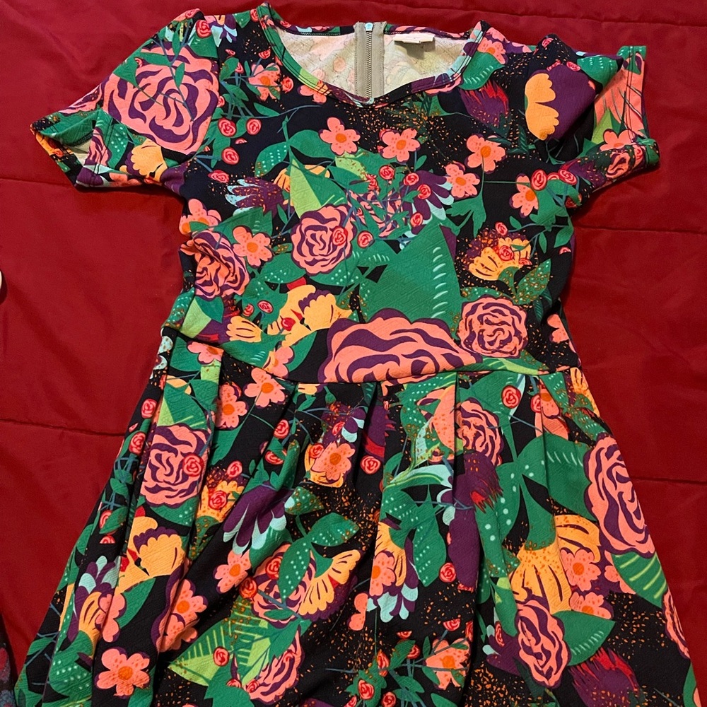 Lularoe dress floral beautiful colors